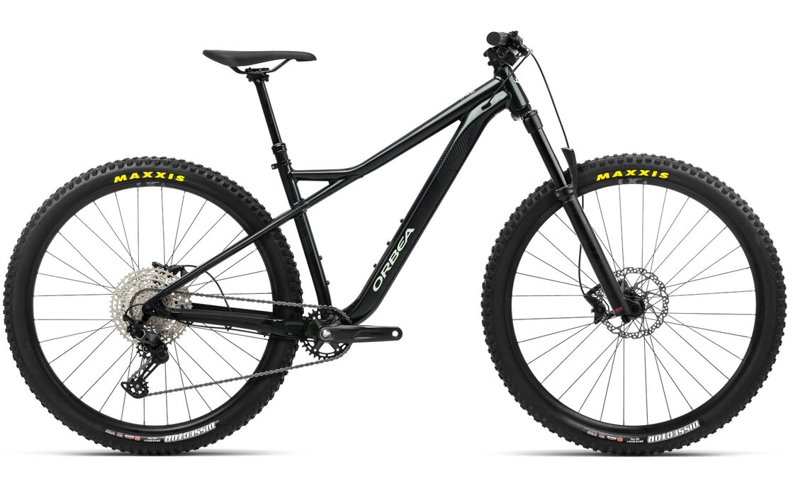 Orbea Laufey H10 - 29 Zoll - Diamant