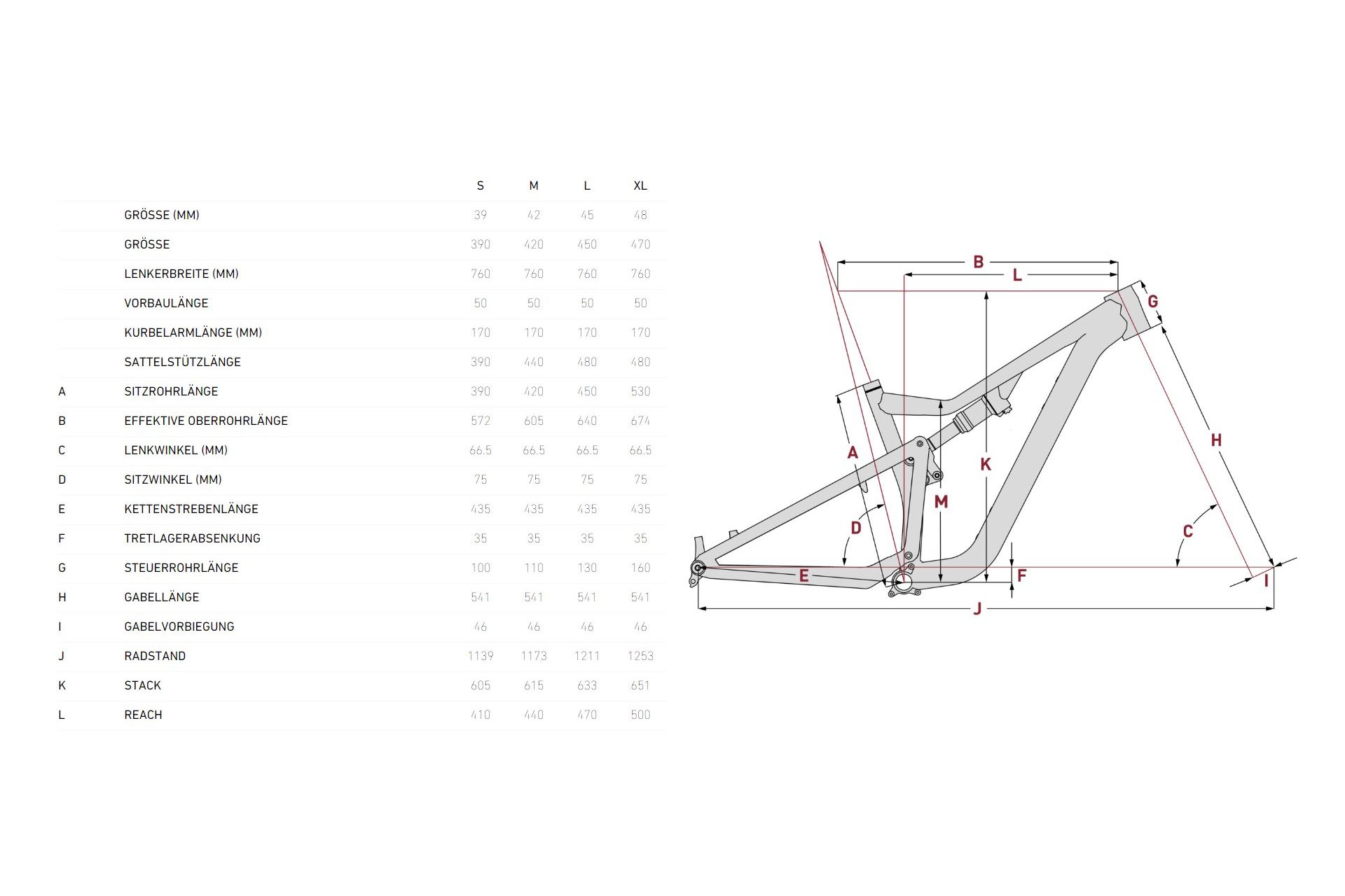 Focus Thron 6.9 - 29 Zoll - Fully – Image 4