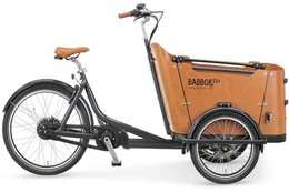 Babboe Curve Mountain - Enviolo - 500 Wh - 26 Zoll - Dreirad - 2026 – Image 3